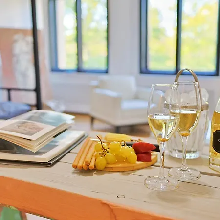 Art Boutique Residence - City Center, Calea Victoriei, Apartahotel