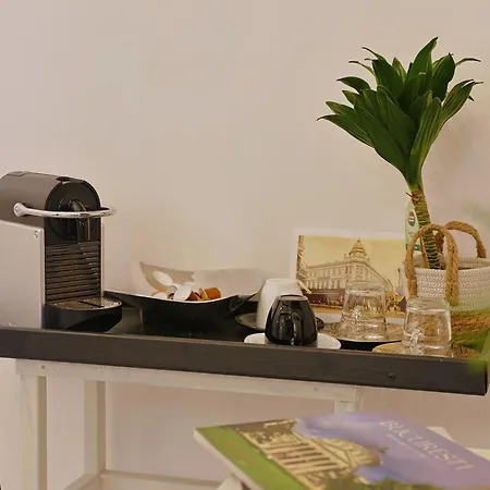 Art Boutique Residence - City Center, Calea Victoriei, 4* Bucarest