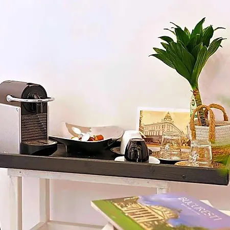 Art Boutique Residence - City Center - Calea Victoriei