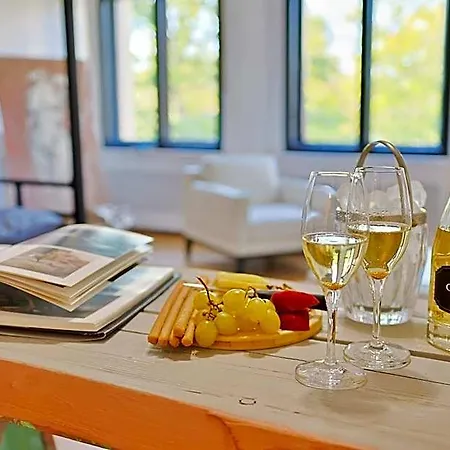 Art Boutique Residence - City Center - Calea Victoriei Aparthotel Bucharest